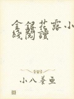 金银花露小说在线阅读