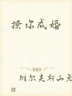 撩你成婚