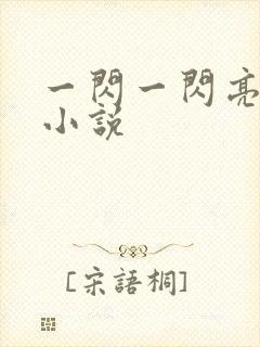 一闪一闪亮星星小说