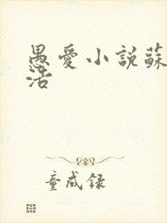 愚爱小说苏倩孙浩