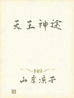 天王神途