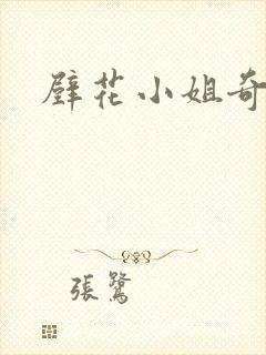 壁花小姐奇遇记