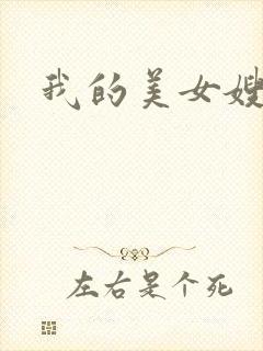 我的美女嫂嫂