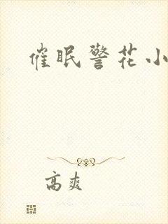 催眠警花小说