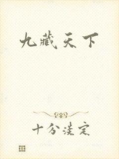 九藏天下