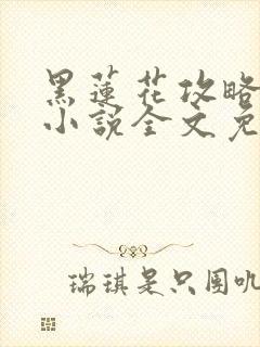 黑莲花攻略手册小说全文免费阅读笔趣阁