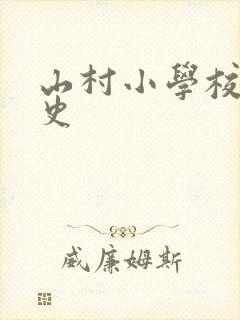 山村小学校长艳史