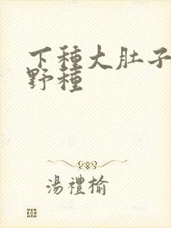 下种大肚子怀孕野种