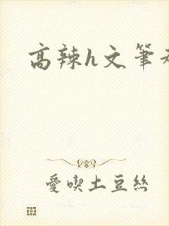 高辣h文笔趣阁
