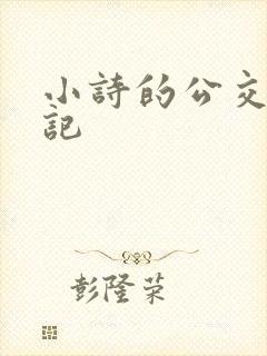 小诗的公交车日记