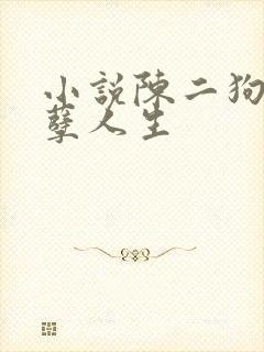 小说陈二狗的妖孽人生