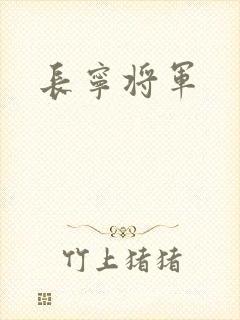 长宁将军