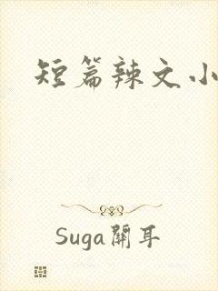 短篇辣文小说