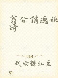 翁公销魂姚瑶琦琦