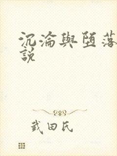 沉沦与堕落的小说