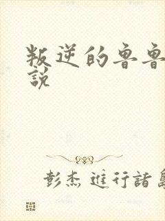 叛逆的鲁鲁修小说