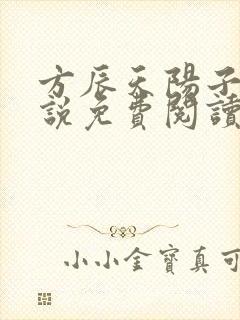 方辰天阳子的小说免费阅读