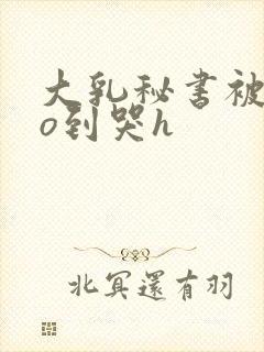 大乳秘书被cao到哭h