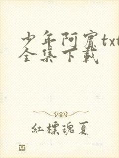 少年阿宾txt全集下载