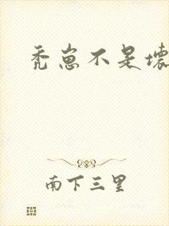 秃崽不是坏女人