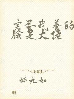 完蛋我养的小白脸是大佬