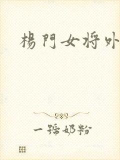 杨门女将外传