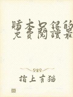 赌木口银的小说免费阅读最新