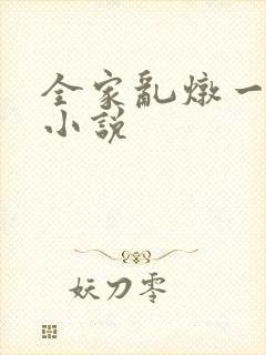全家乱炖一锅烩小说