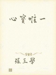 心宝唯一