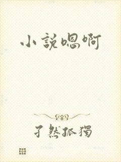 小说嗯啊
