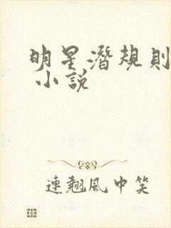 明星潜规则之皇 小说