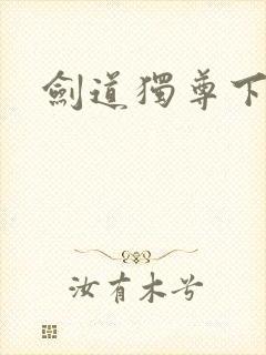 剑道独尊下载