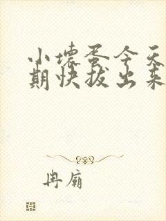 小坏蛋今天危险期快拔出来