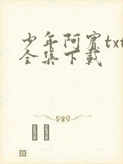 少年阿宾txt全集下载
