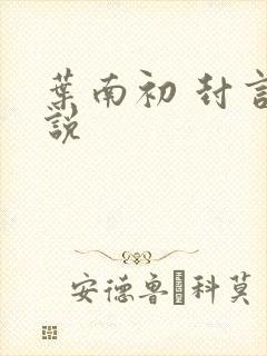 叶南初 封言小说