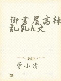 御书屋高辣h文乱乳h文