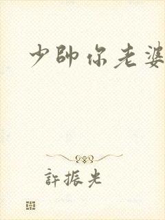 少帅你老婆