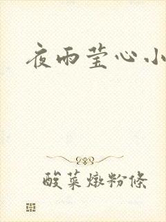 夜雨莹心小说