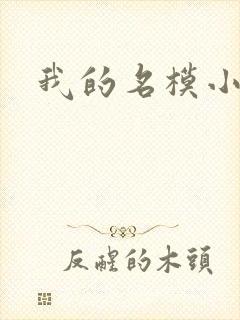 我的名模小娇妻