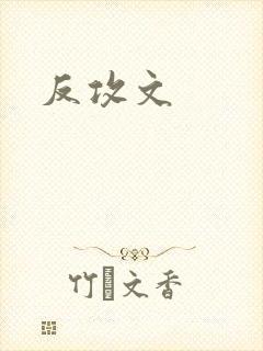 反攻文