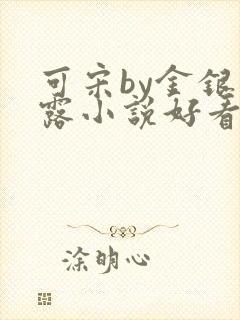 可宋by金银花露小说好看吗