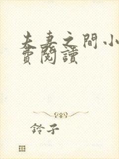 夫妻之间小说免费阅读