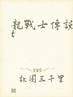 龙战士传说txt