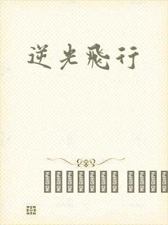 逆光飞行