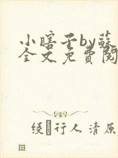 小瞎子by苏软全文免费阅读