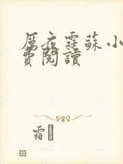 厉夜霆苏小汐免费阅读