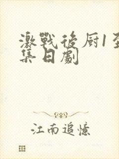 激战后厨1至5集日剧