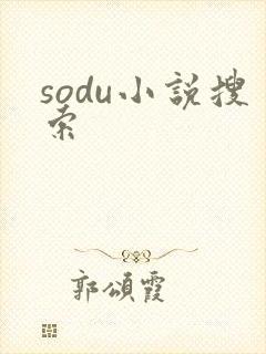 sodu小说搜索