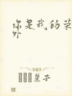 你是我的荣耀番外