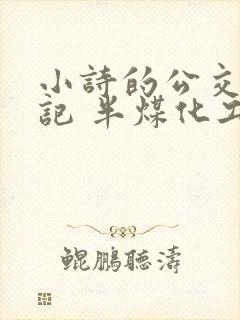 小诗的公交车日记 半煤化工
